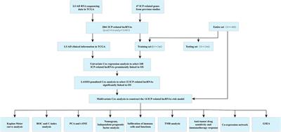 A novel LUAD prognosis prediction model based on immune checkpoint-related lncRNAs